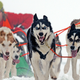 Illustration for article titled This Sled Dog Is Stealing Your Soul with Its Hypnotic Ice-Storm Eyes